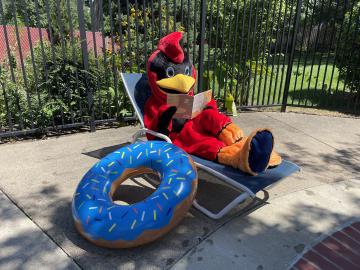 Abingdon Cardinal leyendo junto a la piscina