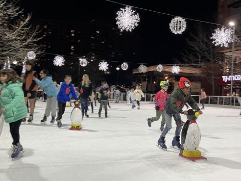Photo from Winter Wonderland Ice Skating