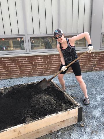 Volunteers placing mulch in the Abingdon Garden beds