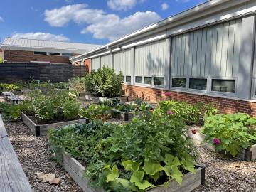 Everything growing in the Abingdon Garden