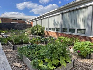 Everything growing in the Abingdon Garden