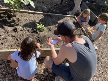 Planting seeds for the fall in the Abingdon Garden