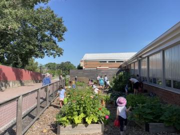 Volunteers working in the Abingdon Garden