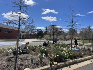 Photo of volunteers planting the pollinator garden