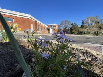 Photo of volunteers planting the pollinator garden