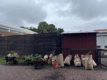 Photo from September Garden Cleanup