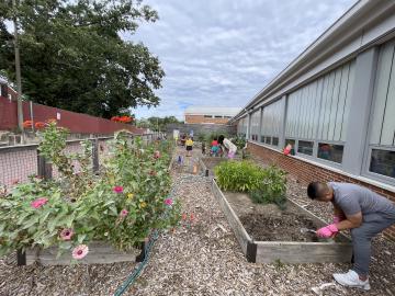 Volunteers working in the Abingdon Garden