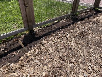 Photo from May Garden Cleanup