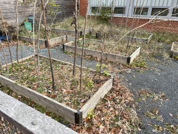 The Abingdon Garden looking very untidy after being mostly unmaintained during the pandemic