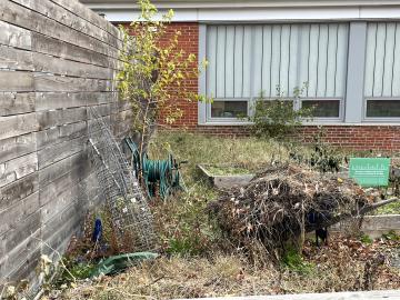 The Abingdon Garden looking very untidy after being mostly unmaintained during the pandemic