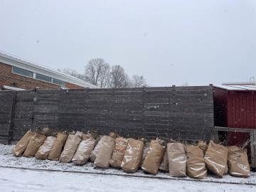 Photo from MLK Day of Service